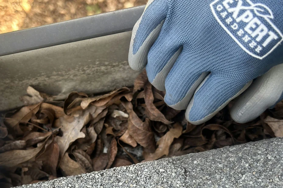 Gutter Cleaning Irving