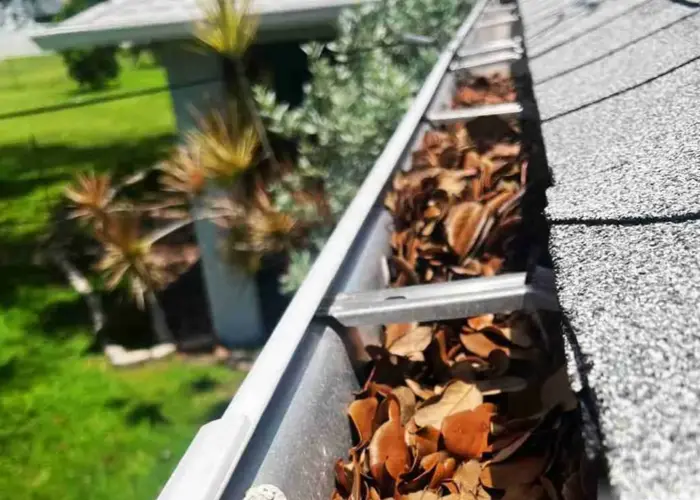 Gutter Cleaning Irving home page